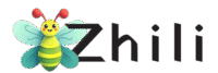 zhili logo 1 removebg preview